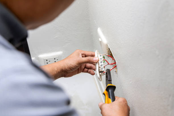Best Electric Panel Repair  in Martinsburg, WV